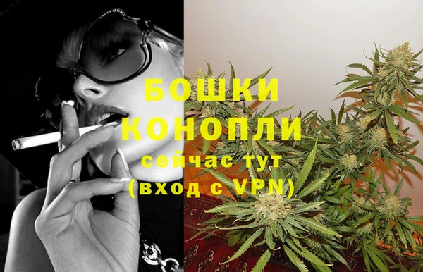 шишки Михайлов