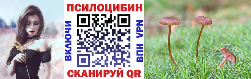 mega рабочий сайт  Чердынь  Псилоцибиновые грибы прущие грибы  где купить наркоту 